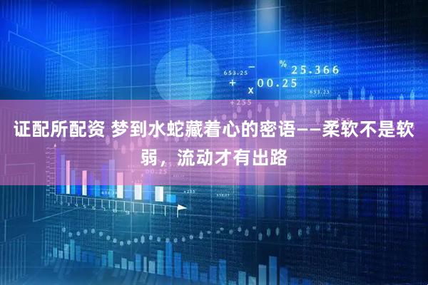 证配所配资 梦到水蛇藏着心的密语——柔软不是软弱，流动才有出路