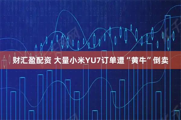 财汇盈配资 大量小米YU7订单遭“黄牛”倒卖