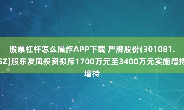 股票杠杆怎么操作APP下载 严牌股份(301081.SZ)股东友凤投资拟斥1700万元至3400万元实施增持