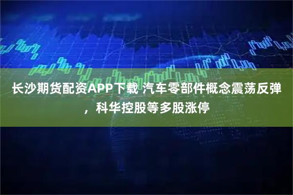 长沙期货配资APP下载 汽车零部件概念震荡反弹，科华控股等多股涨停
